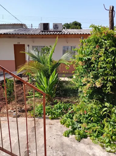 Área externa com jardim